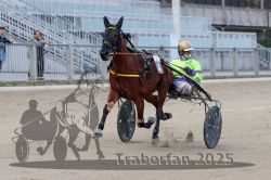 Dateiname=20251012_r02_053_R02_0172.jpg
Dateigröße=273KB
Abmessungen: 1000x667
hinzugefügt am: 14. Oktober 2025 20251012_r02_053_R02_0172.jpg