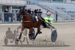 Dateiname=20251012_r02_056_R02_0180.jpg
Dateigröße=286KB
Abmessungen: 1000x667
hinzugefügt am: 14. Oktober 2025 20251012_r02_056_R02_0180.jpg