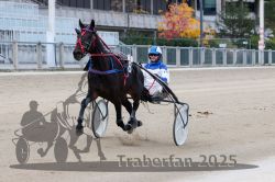 Dateiname=20251012_r02_057_R02_0183.jpg
Dateigröße=287KB
Abmessungen: 1000x667
hinzugefügt am: 14. Oktober 2025 20251012_r02_057_R02_0183.jpg