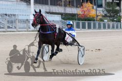 Dateiname=20251012_r02_058_R02_0184.jpg
Dateigröße=276KB
Abmessungen: 1000x667
hinzugefügt am: 14. Oktober 2025 20251012_r02_058_R02_0184.jpg