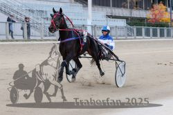 Dateiname=20251012_r02_059_R02_0187.jpg
Dateigröße=275KB
Abmessungen: 1000x667
hinzugefügt am: 14. Oktober 2025 20251012_r02_059_R02_0187.jpg