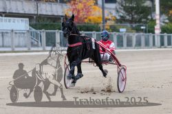 Dateiname=20251012_r02_062_R02_0198.jpg
Dateigröße=267KB
Abmessungen: 1000x667
hinzugefügt am: 14. Oktober 2025 20251012_r02_062_R02_0198.jpg