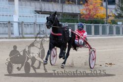 Dateiname=20251012_r02_063_R02_0202.jpg
Dateigröße=259KB
Abmessungen: 1000x667
hinzugefügt am: 14. Oktober 2025 20251012_r02_063_R02_0202.jpg