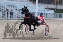 Dateiname=20251012_r02_065_R02_0208.jpg
Dateigröße=273KB
Abmessungen: 1000x667
hinzugefügt am: 14. Oktober 2025 20251012_r02_065_R02_0208.jpg