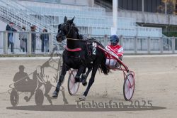 Dateiname=20251012_r02_066_R02_0209.jpg
Dateigröße=275KB
Abmessungen: 1000x667
hinzugefügt am: 14. Oktober 2025 20251012_r02_066_R02_0209.jpg