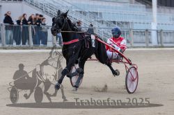 Dateiname=20251012_r02_067_R02_0212.jpg
Dateigröße=262KB
Abmessungen: 1000x667
hinzugefügt am: 14. Oktober 2025 20251012_r02_067_R02_0212.jpg