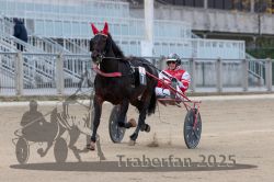 Dateiname=20251012_r02_069_R02_0218.jpg
Dateigröße=265KB
Abmessungen: 1000x667
hinzugefügt am: 14. Oktober 2025 20251012_r02_069_R02_0218.jpg