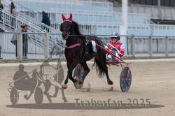 Dateiname=20251012_r02_070_R02_0221.jpg
Dateigröße=276KB
Abmessungen: 1000x667
hinzugefügt am: 14. Oktober 2025 20251012_r02_070_R02_0221.jpg