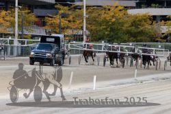 Dateiname=20251012_r02_073_R02_0231.jpg
Dateigröße=343KB
Abmessungen: 1000x667
hinzugefügt am: 14. Oktober 2025 20251012_r02_073_R02_0231.jpg