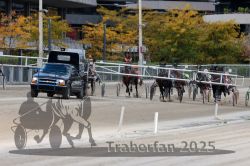 Dateiname=20251012_r02_074_R02_0237.jpg
Dateigröße=345KB
Abmessungen: 1000x667
hinzugefügt am: 14. Oktober 2025 20251012_r02_074_R02_0237.jpg