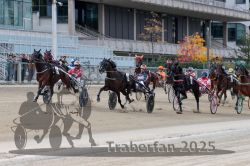 Dateiname=20251012_r02_075_R02_0240.jpg
Dateigröße=328KB
Abmessungen: 1000x667
hinzugefügt am: 14. Oktober 2025 20251012_r02_075_R02_0240.jpg