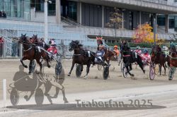 Dateiname=20251012_r02_076_R02_0241.jpg
Dateigröße=330KB
Abmessungen: 1000x667
hinzugefügt am: 14. Oktober 2025 20251012_r02_076_R02_0241.jpg