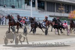 Dateiname=20251012_r02_077_R02_0244.jpg
Dateigröße=324KB
Abmessungen: 1000x667
hinzugefügt am: 14. Oktober 2025 20251012_r02_077_R02_0244.jpg