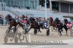 Dateiname=20251012_r02_078_R02_0247.jpg
Dateigröße=317KB
Abmessungen: 1000x667
hinzugefügt am: 14. Oktober 2025 20251012_r02_078_R02_0247.jpg