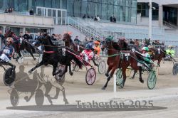 Dateiname=20251012_r02_080_R02_0258.jpg
Dateigröße=347KB
Abmessungen: 1000x667
hinzugefügt am: 14. Oktober 2025 20251012_r02_080_R02_0258.jpg