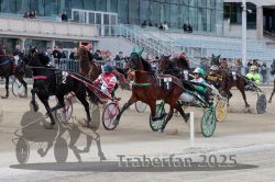 Dateiname=20251012_r02_081_R02_0260.jpg
Dateigröße=344KB
Abmessungen: 1000x667
hinzugefügt am: 14. Oktober 2025 20251012_r02_081_R02_0260.jpg