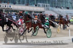 Dateiname=20251012_r02_082_R02_0264.jpg
Dateigröße=346KB
Abmessungen: 1000x667
hinzugefügt am: 14. Oktober 2025 20251012_r02_082_R02_0264.jpg