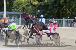 Dateiname=20251012_r02_086_R02_0282.jpg
Dateigröße=323KB
Abmessungen: 1000x667
hinzugefügt am: 14. Oktober 2025 20251012_r02_086_R02_0282.jpg