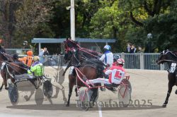 Dateiname=20251012_r02_087_R02_0286.jpg
Dateigröße=338KB
Abmessungen: 1000x667
hinzugefügt am: 14. Oktober 2025 20251012_r02_087_R02_0286.jpg