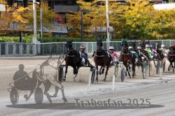 Dateiname=20251012_r02_088_R02_0289.jpg
Dateigröße=333KB
Abmessungen: 1000x667
hinzugefügt am: 14. Oktober 2025 20251012_r02_088_R02_0289.jpg