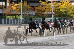 Dateiname=20251012_r02_089_R02_0292.jpg
Dateigröße=337KB
Abmessungen: 1000x667
hinzugefügt am: 14. Oktober 2025 20251012_r02_089_R02_0292.jpg