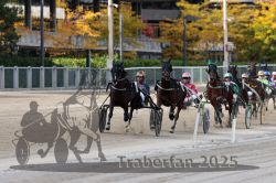 Dateiname=20251012_r02_090_R02_0296.jpg
Dateigröße=323KB
Abmessungen: 1000x667
hinzugefügt am: 14. Oktober 2025 20251012_r02_090_R02_0296.jpg