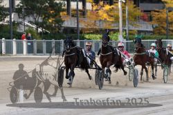 Dateiname=20251012_r02_091_R02_0299.jpg
Dateigröße=312KB
Abmessungen: 1000x667
hinzugefügt am: 14. Oktober 2025 20251012_r02_091_R02_0299.jpg