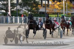 Dateiname=20251012_r02_092_R02_0303.jpg
Dateigröße=321KB
Abmessungen: 1000x667
hinzugefügt am: 14. Oktober 2025 20251012_r02_092_R02_0303.jpg