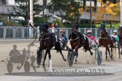 Dateiname=20251012_r02_093_R02_0307.jpg
Dateigröße=319KB
Abmessungen: 1000x667
hinzugefügt am: 14. Oktober 2025 20251012_r02_093_R02_0307.jpg