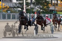 Dateiname=20251012_r02_094_R02_0310.jpg
Dateigröße=309KB
Abmessungen: 1000x667
hinzugefügt am: 14. Oktober 2025 20251012_r02_094_R02_0310.jpg