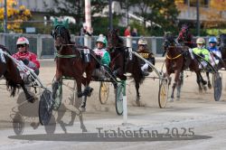 Dateiname=20251012_r02_095_R02_0316.jpg
Dateigröße=320KB
Abmessungen: 1000x667
hinzugefügt am: 14. Oktober 2025 20251012_r02_095_R02_0316.jpg