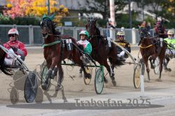 Dateiname=20251012_r02_096_R02_0320.jpg
Dateigröße=319KB
Abmessungen: 1000x667
hinzugefügt am: 14. Oktober 2025 20251012_r02_096_R02_0320.jpg