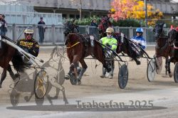 Dateiname=20251012_r02_097_R02_0326.jpg
Dateigröße=327KB
Abmessungen: 1000x667
hinzugefügt am: 14. Oktober 2025 20251012_r02_097_R02_0326.jpg