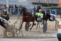 Dateiname=20251012_r02_098_R02_0330.jpg
Dateigröße=327KB
Abmessungen: 1000x667
hinzugefügt am: 14. Oktober 2025 20251012_r02_098_R02_0330.jpg