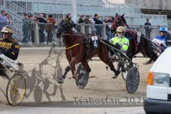 Dateiname=20251012_r02_099_R02_0333.jpg
Dateigröße=319KB
Abmessungen: 1000x667
hinzugefügt am: 14. Oktober 2025 20251012_r02_099_R02_0333.jpg