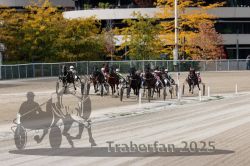 Dateiname=20251012_r02_100_R02_0338.jpg
Dateigröße=376KB
Abmessungen: 1000x667
hinzugefügt am: 14. Oktober 2025 20251012_r02_100_R02_0338.jpg