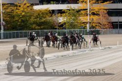 Dateiname=20251012_r02_101_R02_0341.jpg
Dateigröße=380KB
Abmessungen: 1000x667
hinzugefügt am: 14. Oktober 2025 20251012_r02_101_R02_0341.jpg