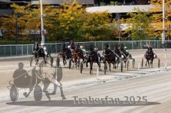 Dateiname=20251012_r02_102_R02_0345.jpg
Dateigröße=374KB
Abmessungen: 1000x667
hinzugefügt am: 14. Oktober 2025 20251012_r02_102_R02_0345.jpg