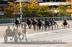 Dateiname=20251012_r02_103_R02_0348.jpg
Dateigröße=379KB
Abmessungen: 1000x667
hinzugefügt am: 14. Oktober 2025 20251012_r02_103_R02_0348.jpg