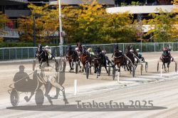 Dateiname=20251012_r02_104_R02_0351.jpg
Dateigröße=382KB
Abmessungen: 1000x667
hinzugefügt am: 14. Oktober 2025 20251012_r02_104_R02_0351.jpg