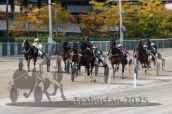 Dateiname=20251012_r02_105_R02_0356.jpg
Dateigröße=348KB
Abmessungen: 1000x667
hinzugefügt am: 14. Oktober 2025 20251012_r02_105_R02_0356.jpg