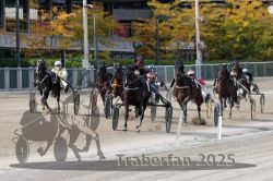 Dateiname=20251012_r02_106_R02_0357.jpg
Dateigröße=350KB
Abmessungen: 1000x667
hinzugefügt am: 14. Oktober 2025 20251012_r02_106_R02_0357.jpg