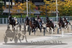 Dateiname=20251012_r02_107_R02_0360.jpg
Dateigröße=353KB
Abmessungen: 1000x667
hinzugefügt am: 14. Oktober 2025 20251012_r02_107_R02_0360.jpg