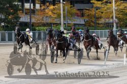 Dateiname=20251012_r02_108_R02_0364.jpg
Dateigröße=349KB
Abmessungen: 1000x667
hinzugefügt am: 14. Oktober 2025 20251012_r02_108_R02_0364.jpg