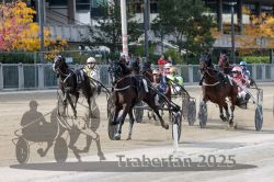 Dateiname=20251012_r02_109_R02_0365.jpg
Dateigröße=357KB
Abmessungen: 1000x667
hinzugefügt am: 14. Oktober 2025 20251012_r02_109_R02_0365.jpg