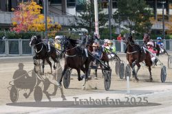 Dateiname=20251012_r02_110_R02_0368.jpg
Dateigröße=353KB
Abmessungen: 1000x667
hinzugefügt am: 14. Oktober 2025 20251012_r02_110_R02_0368.jpg