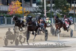 Dateiname=20251012_r02_111_R02_0369.jpg
Dateigröße=360KB
Abmessungen: 1000x667
hinzugefügt am: 14. Oktober 2025 20251012_r02_111_R02_0369.jpg