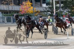 Dateiname=20251012_r02_112_R02_0372.jpg
Dateigröße=342KB
Abmessungen: 1000x667
hinzugefügt am: 14. Oktober 2025 20251012_r02_112_R02_0372.jpg