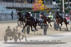 Dateiname=20251012_r02_113_R02_0375.jpg
Dateigröße=334KB
Abmessungen: 1000x667
hinzugefügt am: 14. Oktober 2025 20251012_r02_113_R02_0375.jpg