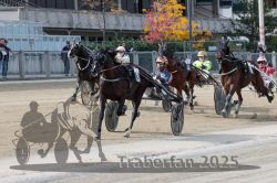 Dateiname=20251012_r02_114_R02_0376.jpg
Dateigröße=336KB
Abmessungen: 1000x667
hinzugefügt am: 14. Oktober 2025 20251012_r02_114_R02_0376.jpg